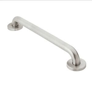 MOEN Home Care 12" Peened Concealed Screw Grab Bar Stainless Steel R8712P
